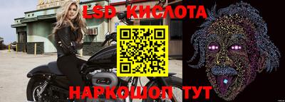 стафф Кандалакша