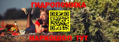 ешки Канаш