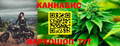 стафф Кандалакша