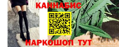 стафф Кандалакша