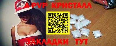 стафф Кандалакша